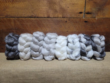 Load image into Gallery viewer, Haunui/Silk Combed Tops Sample Pack