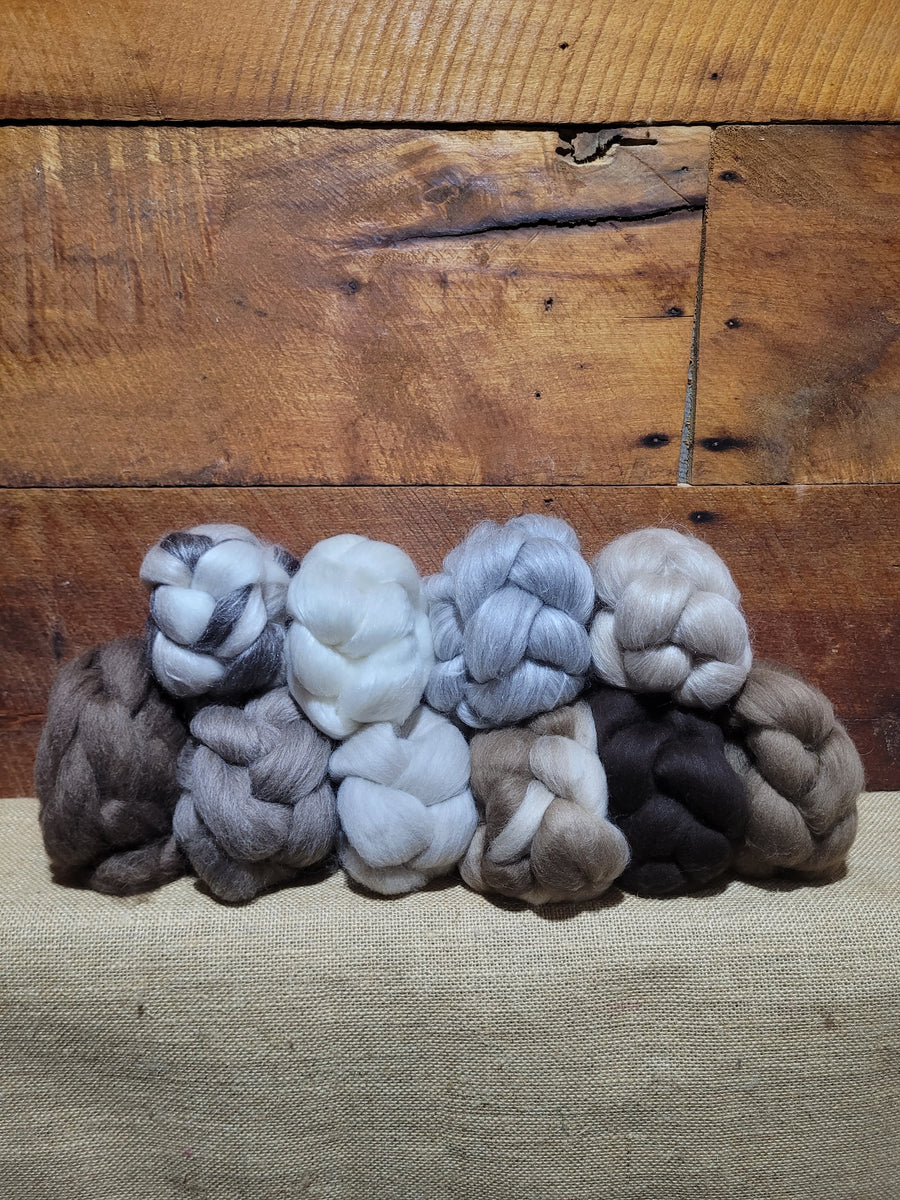 Mixed Combed Tops Sample Pack – Haunuiwool