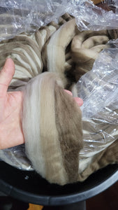 Sunset Blend of Haunui Combed Tops